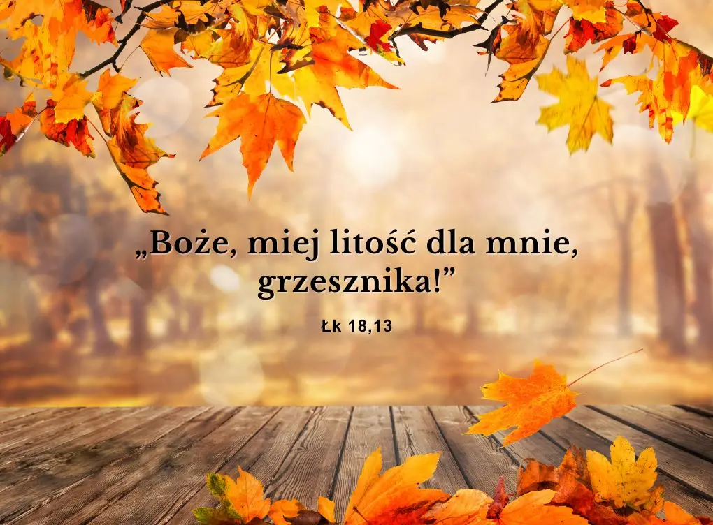 Ogłoszenia XXX Niedziela zwykła