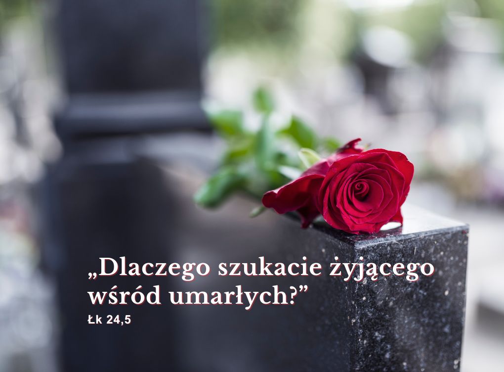 Ogłoszenia XXXI Niedziela zwykła 2025