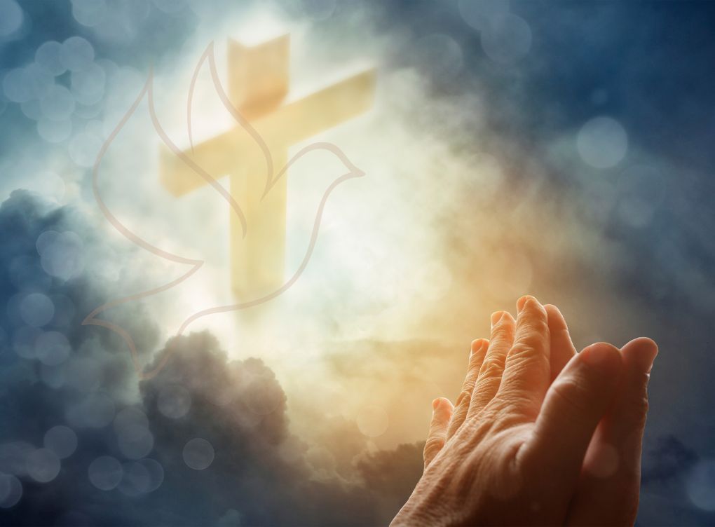 Intencje mszalne drugi tydzień zwykły