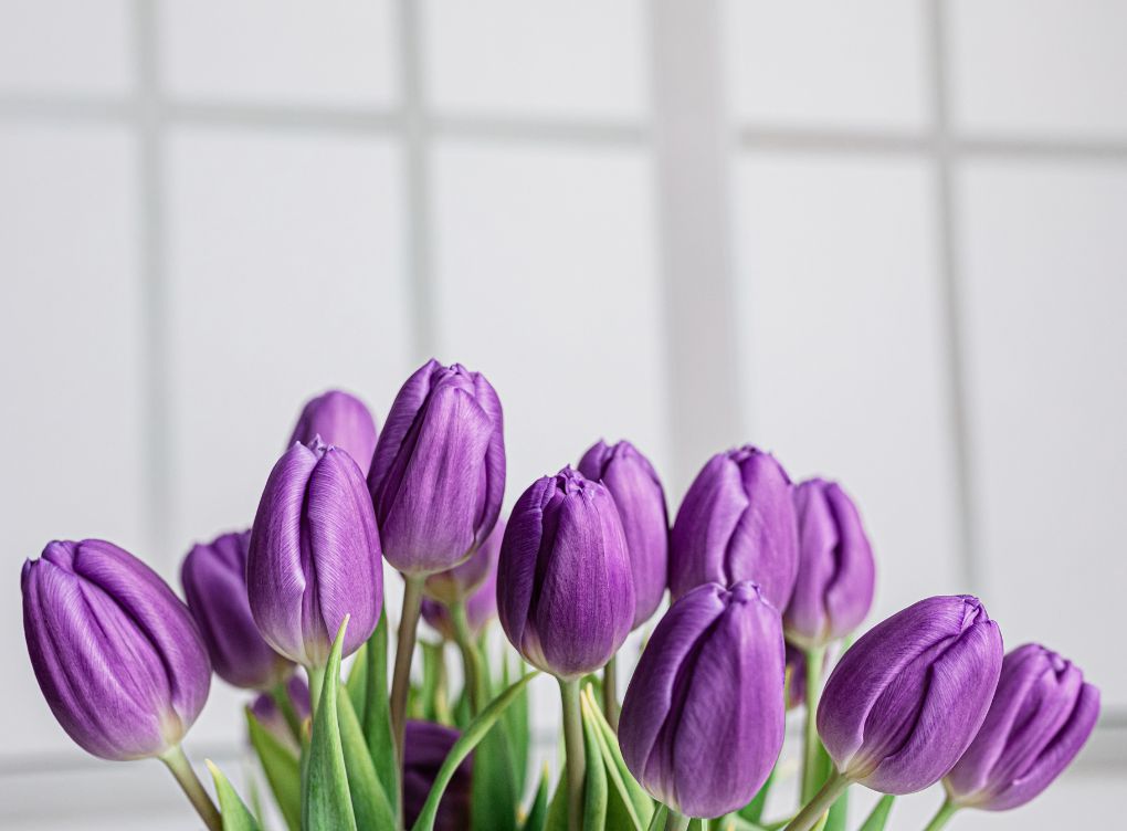 Ogłoszenia parafialne