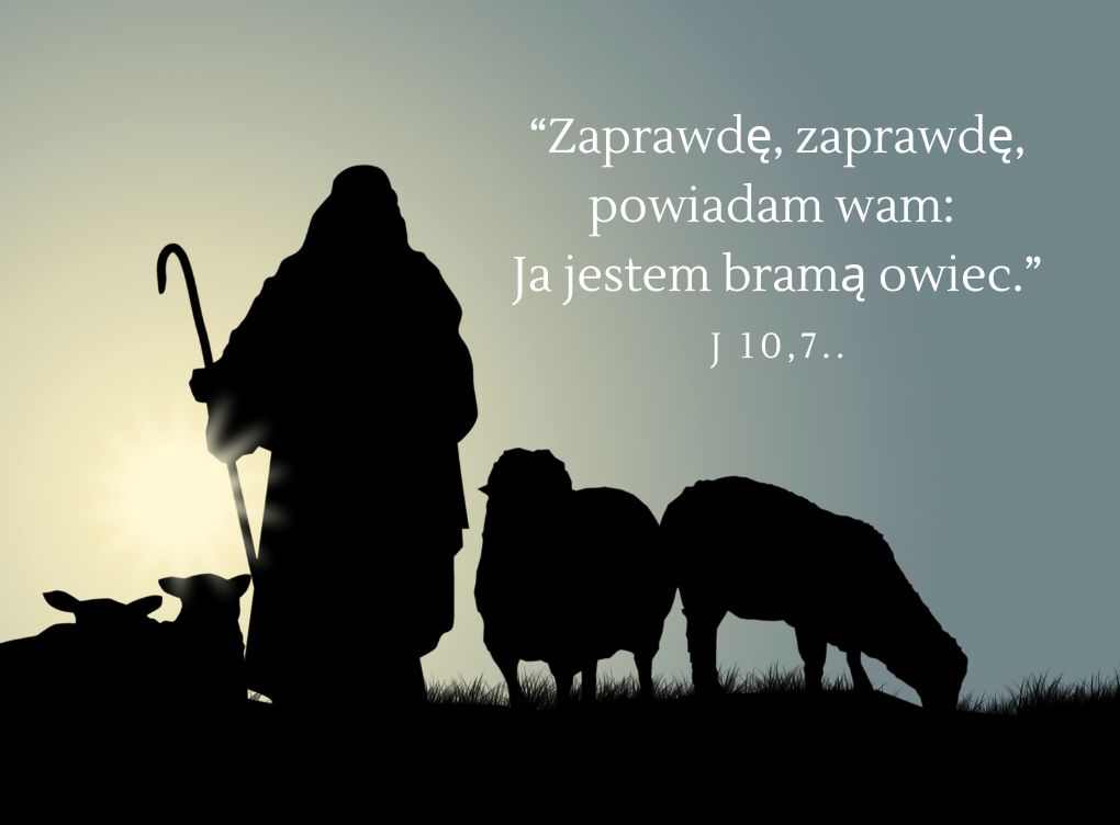 Niedziela Dobrego Pasterza