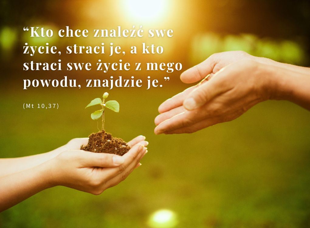 Trzynasta Niedziela zwykła
