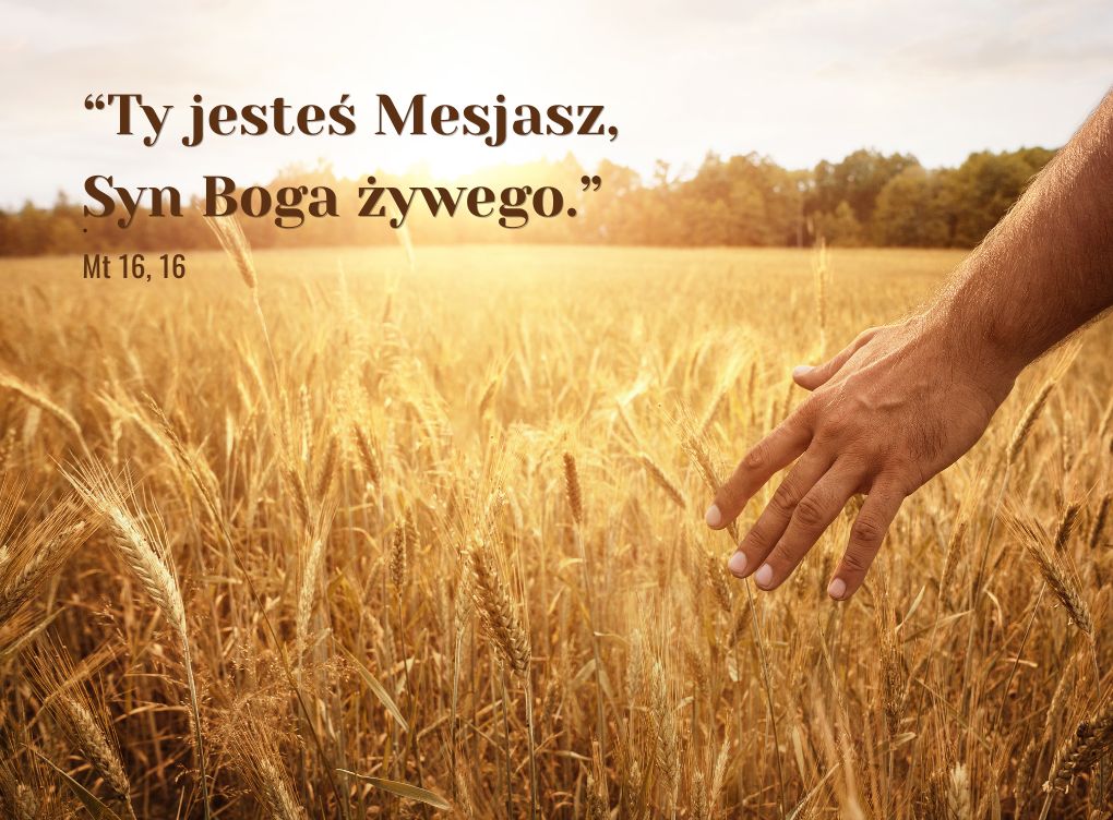 Ogłoszenia duszpasterskie