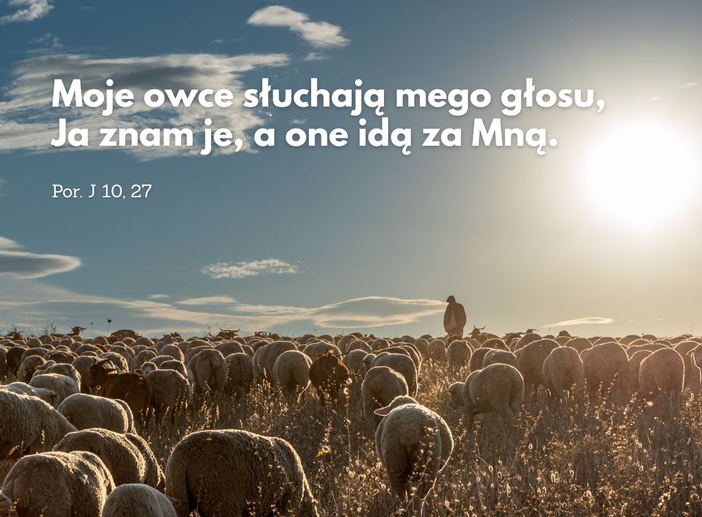 Ogłoszenia parafialne