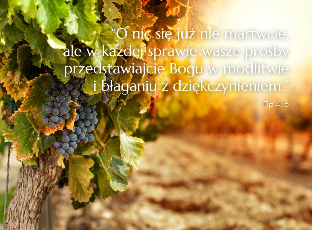 Ogłoszenia parafialne